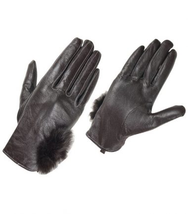 Dressing Gloves